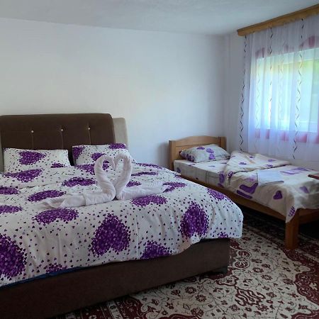Maglic Villa Plužine Dış mekan fotoğraf