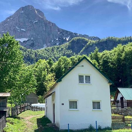 Maglic Villa Plužine Dış mekan fotoğraf