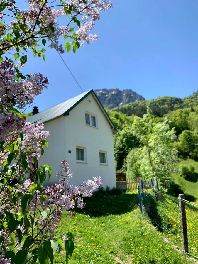 Maglic Villa Plužine Dış mekan fotoğraf