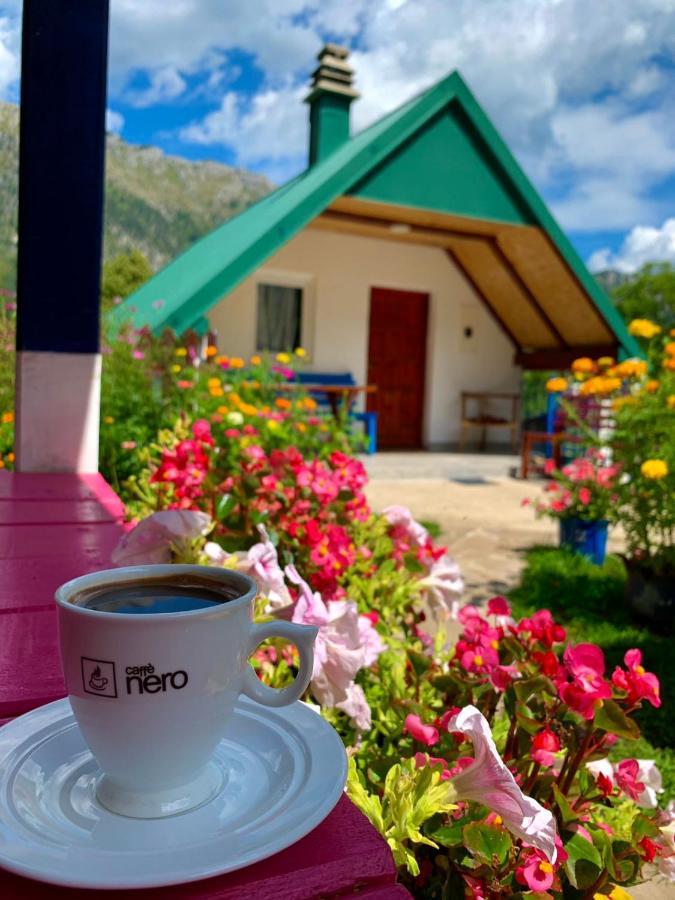 Maglic Villa Plužine Dış mekan fotoğraf